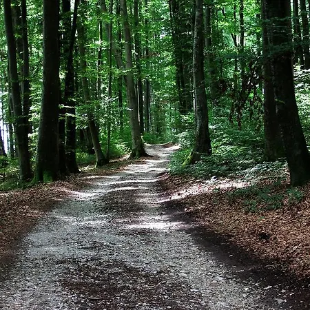 Seehof Am Hollerer See * Sankt Pantaleon (Innviertel)
